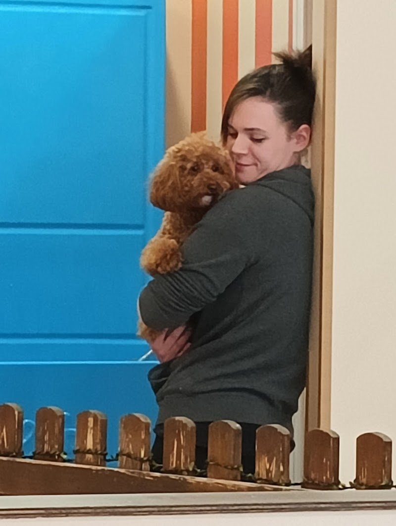 Canilandia & Co - Foto 5