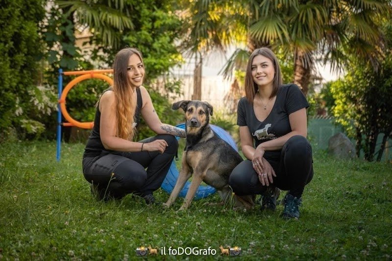 Caninamente Sagl - Foto 2