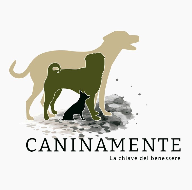 Caninamente Sagl - Foto 3