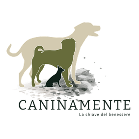 Caninamente Sagl - Foto 5