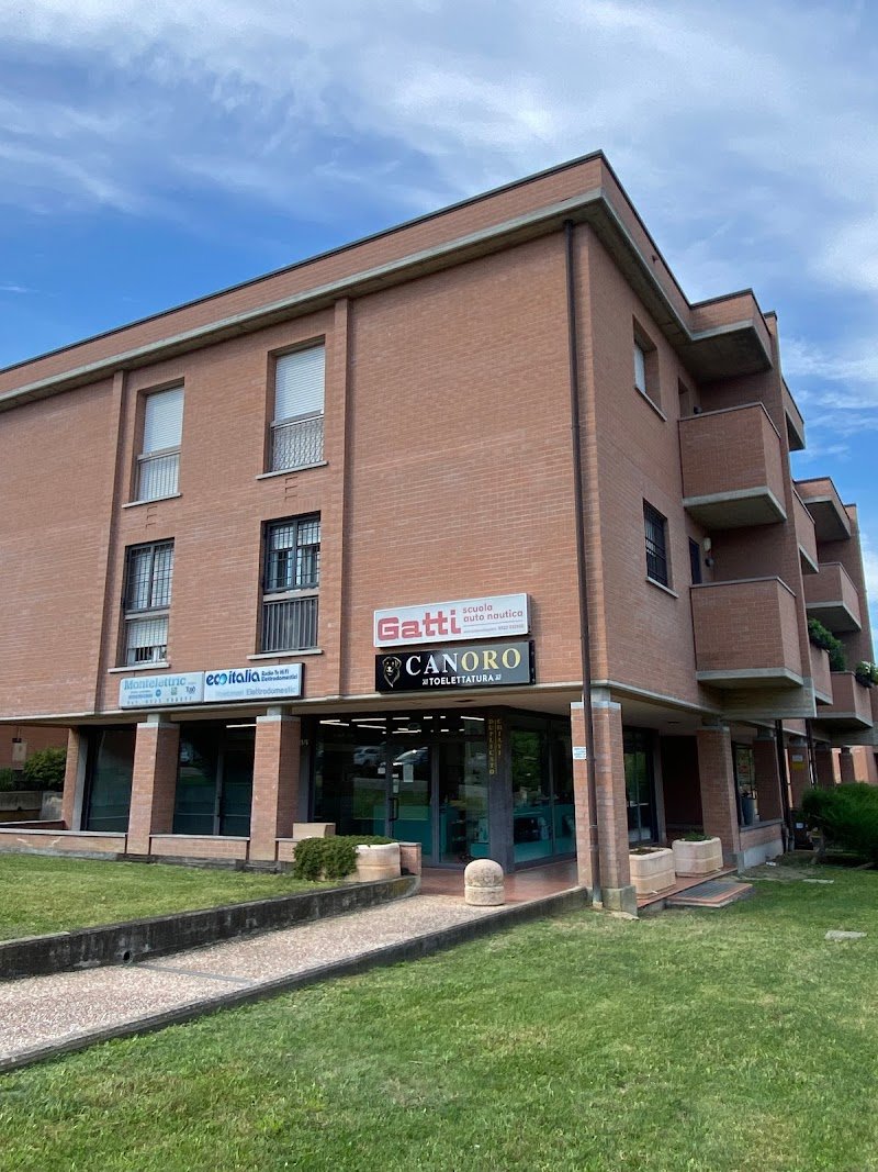 CANORO TOELETTATURA E SPA PER CANI - Foto 2