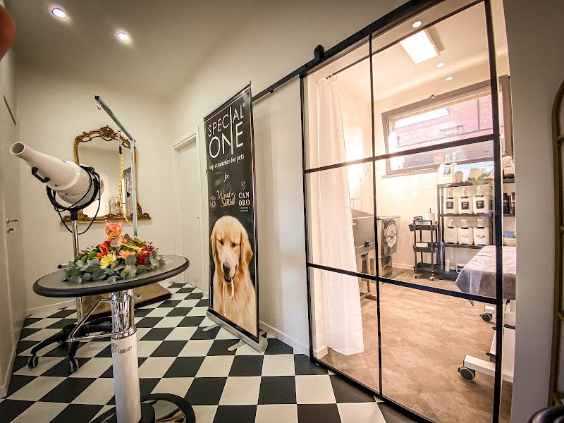 CANORO TOELETTATURA E SPA PER CANI - Foto 3