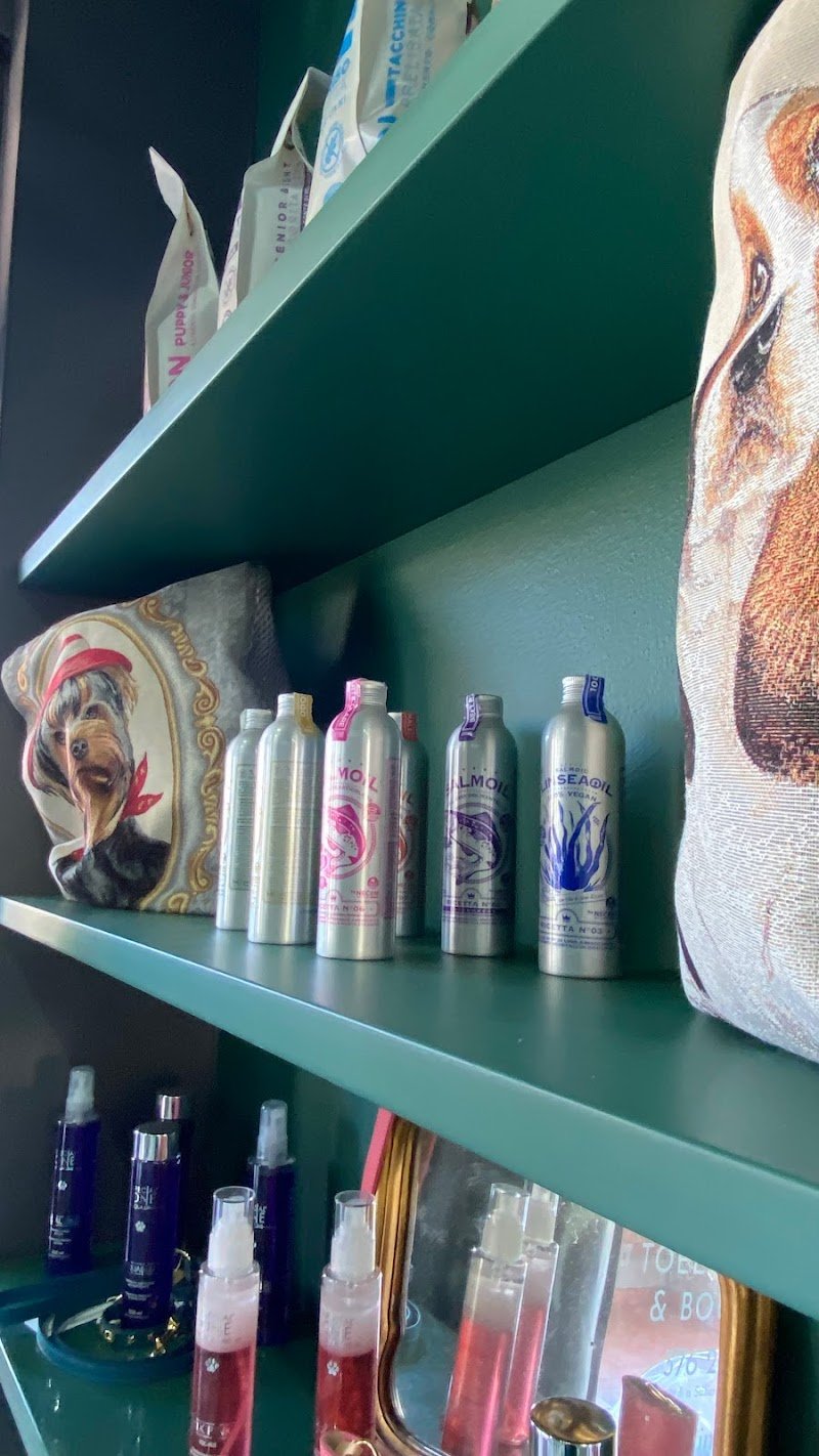 CANORO TOELETTATURA E SPA PER CANI - Foto 6