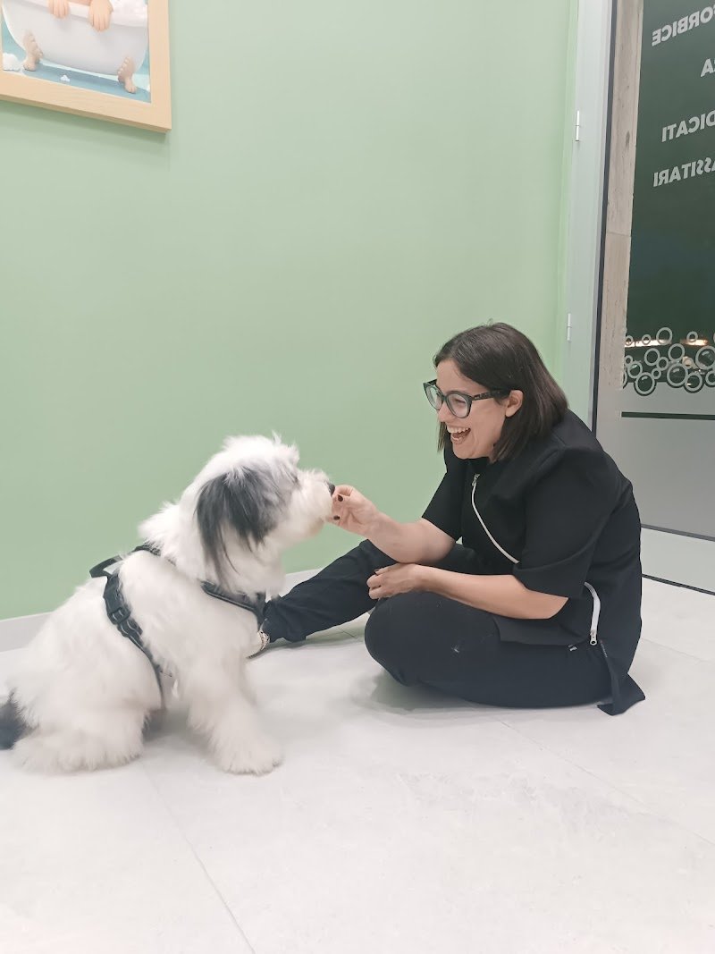 Carini e Coccolosi - Toeletta - Foto 2