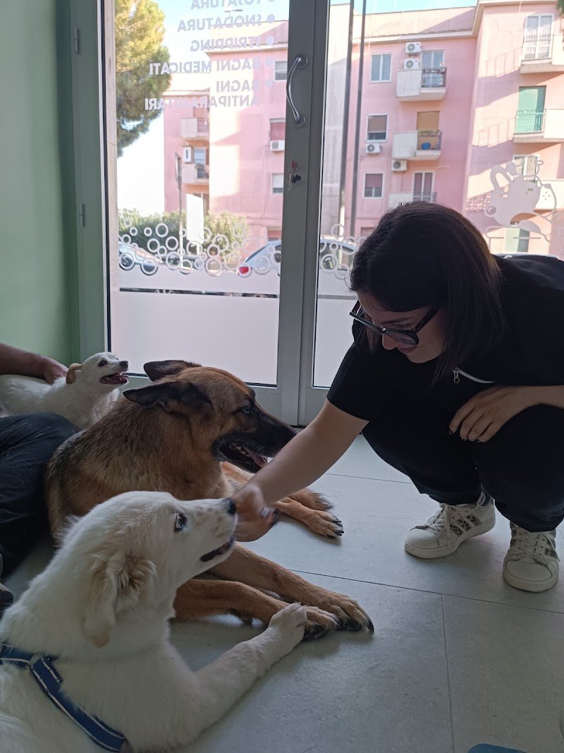 Carini e Coccolosi - Toeletta - Foto 6