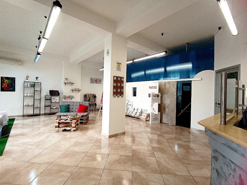 Carini e Coccolosi - Toelettatura - Pet Shop - Foto 1