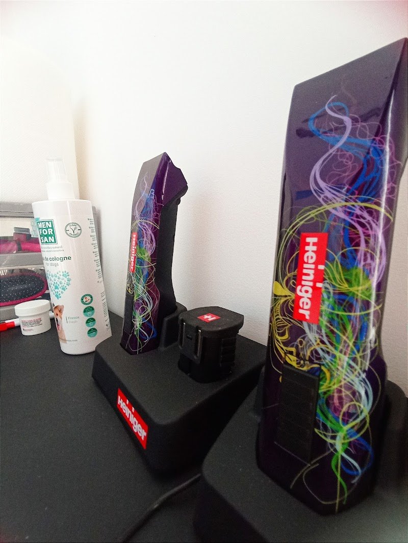 Carini e Coccolosi - Toelettatura - Pet Shop - Foto 6