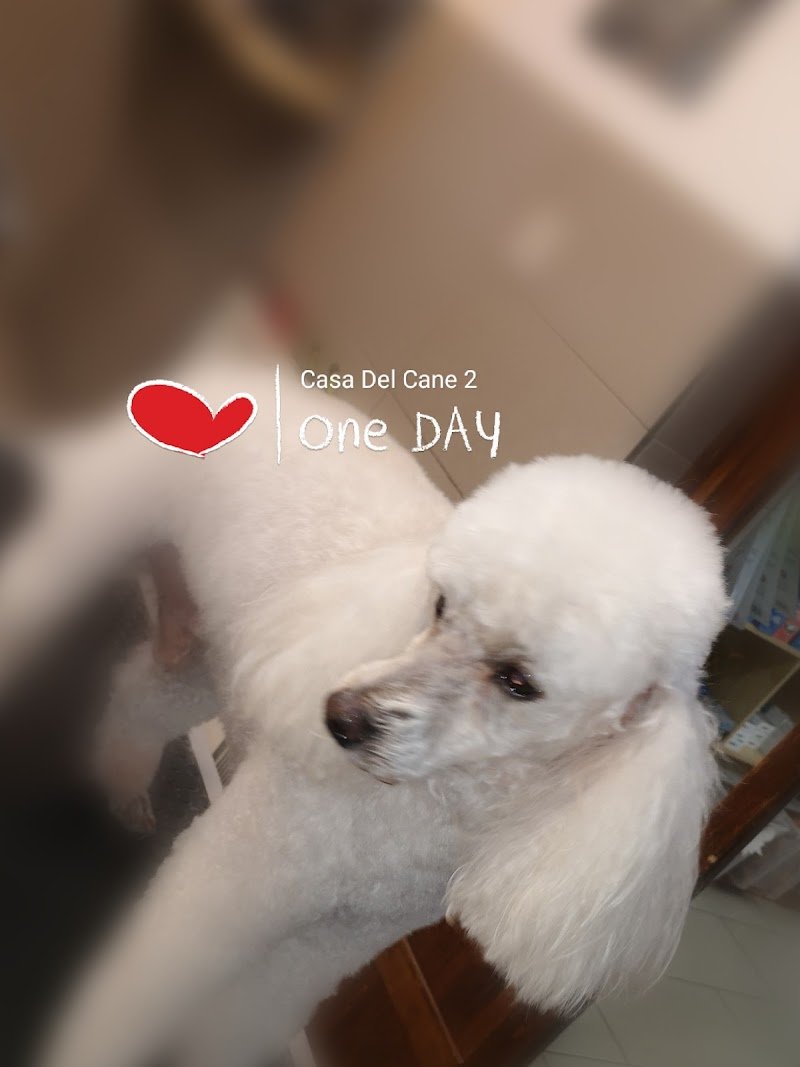 Casa Del Cane 2 - Foto 1