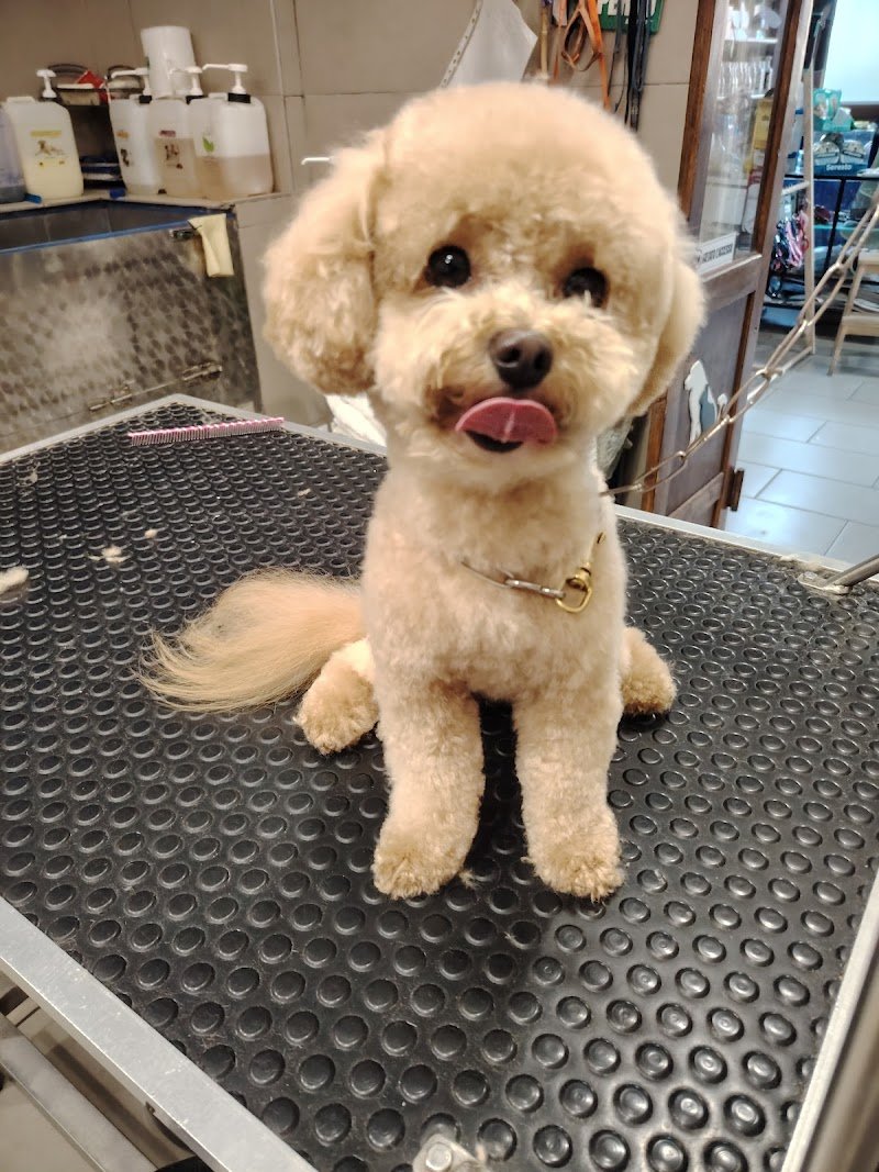 Casa Del Cane 2 - Foto 2