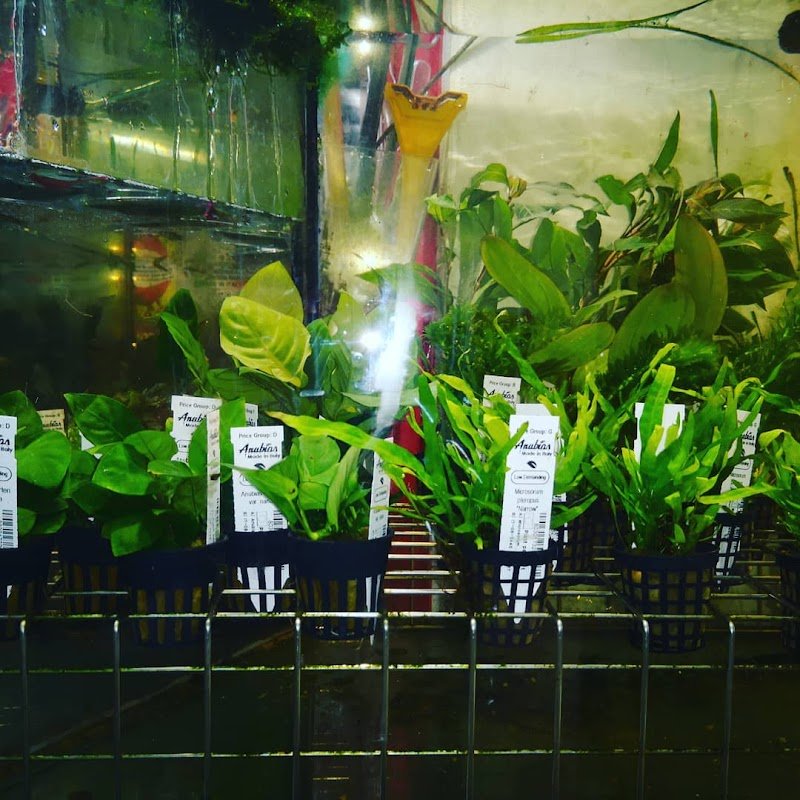 Casa Del Cane 2 - Foto 3