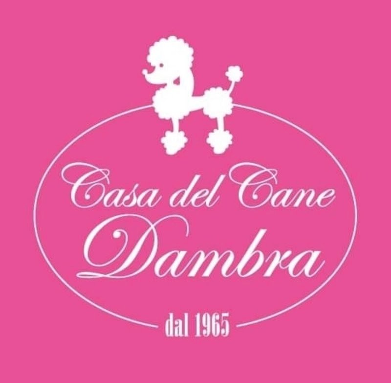 Casa del Cane Dambra - Foto 5