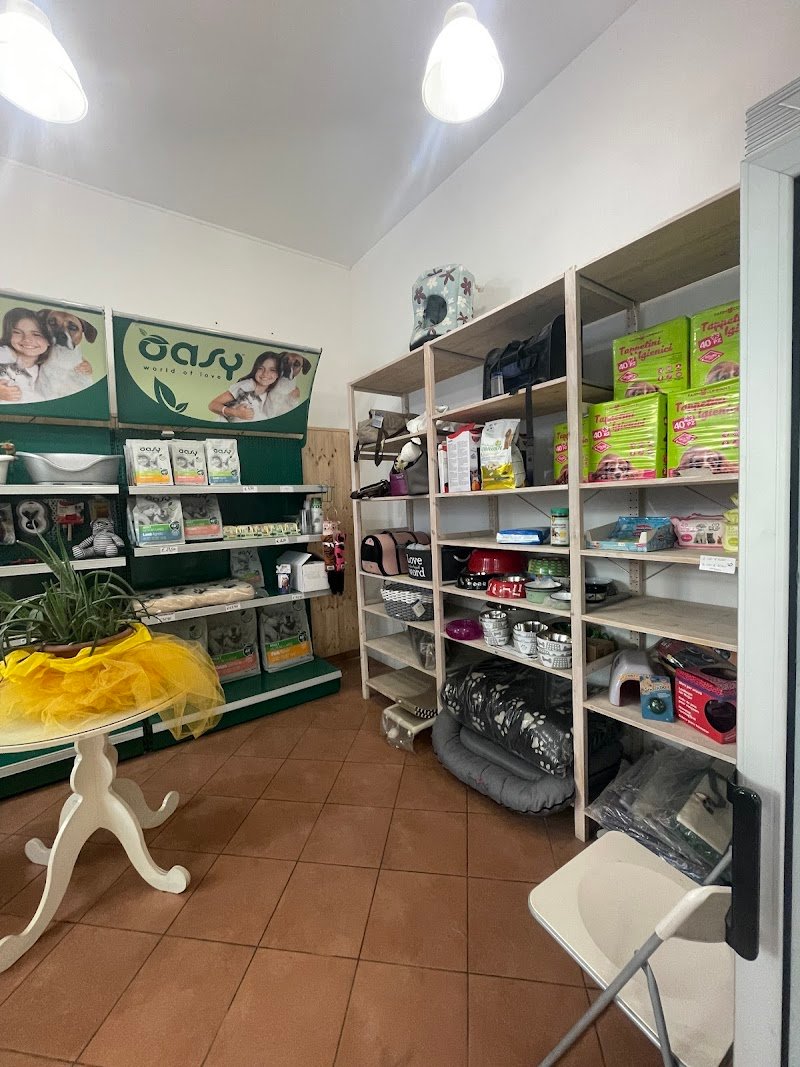 Casa Del Cane - Foto 4