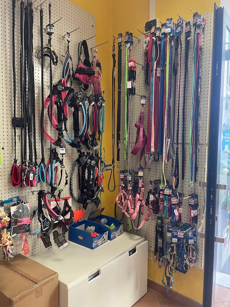 Casa Del Cane - Foto 6