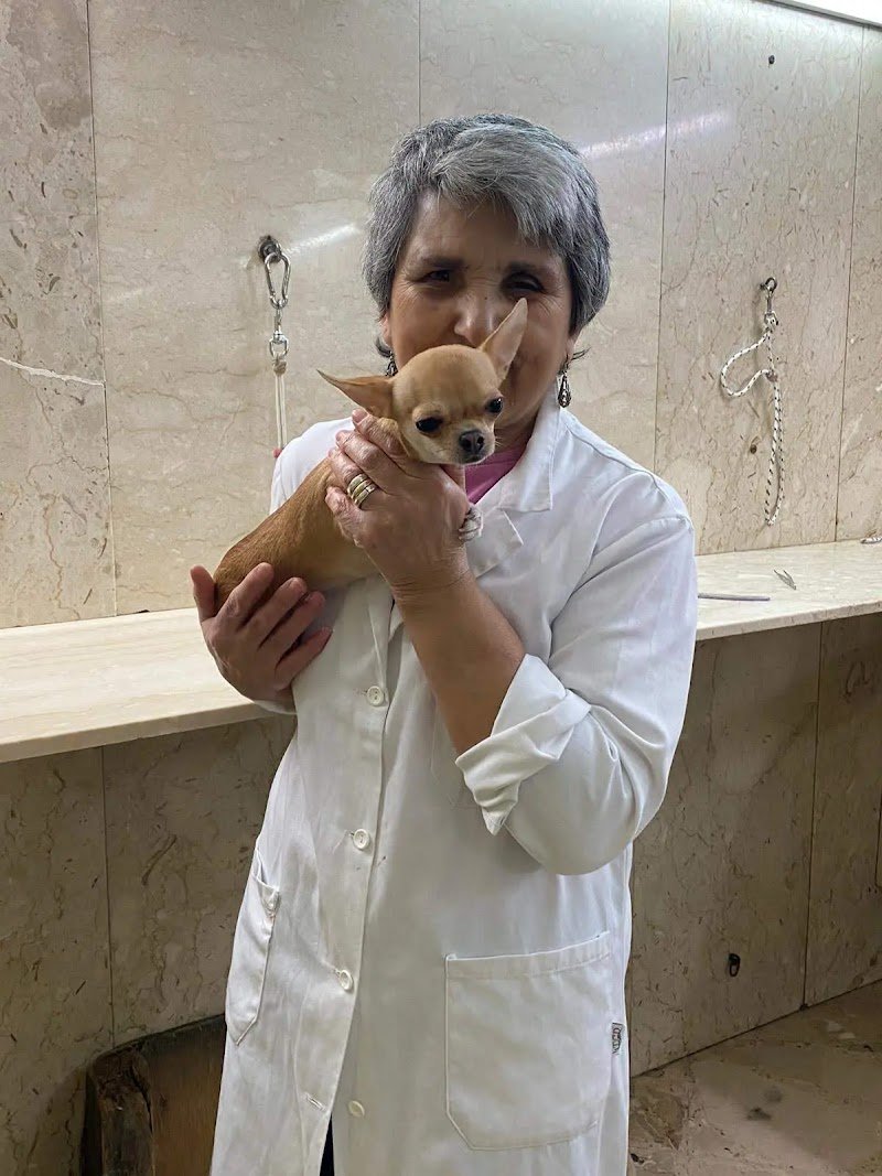 casa del cane san francesco di caiola anna - Foto 1