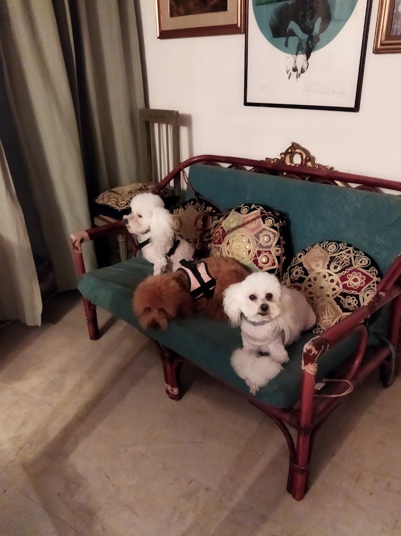 casa del cane san francesco di caiola anna - Foto 5