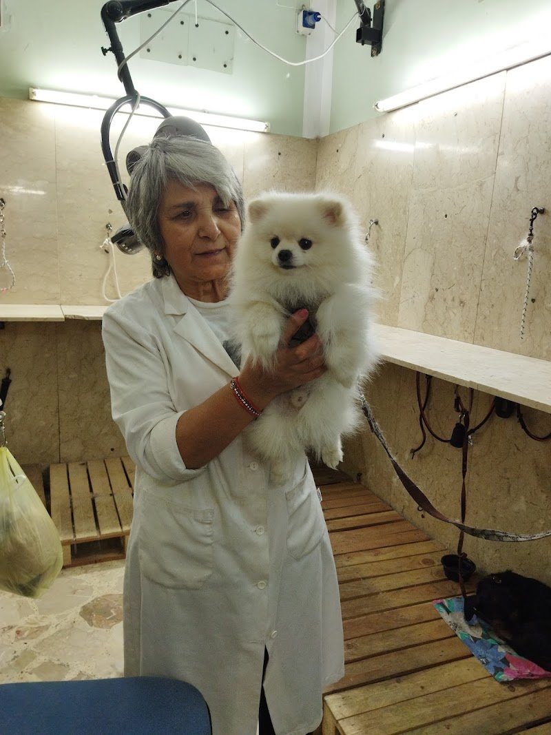 casa del cane san francesco di caiola anna - Foto 6