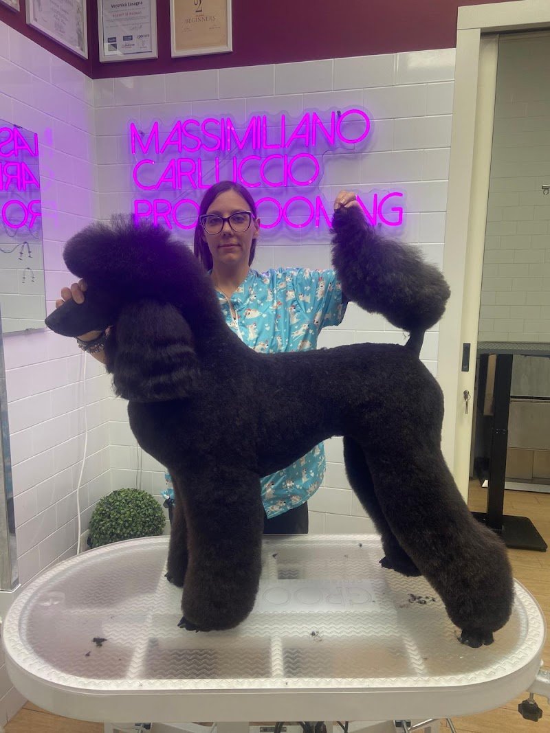 Casa del Cane toelettatura dal 1989 - Foto 2