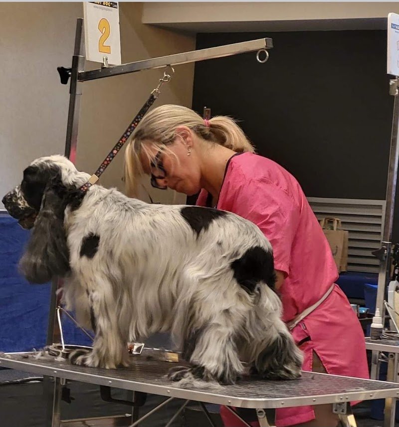 Casa del Cane toelettatura dal 1989 - Foto 6