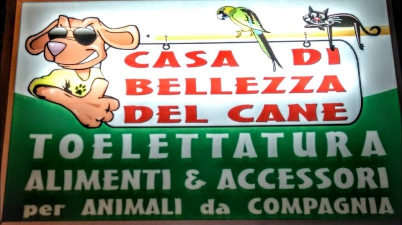 Casa Di Bellezza Del Cane - Foto 1