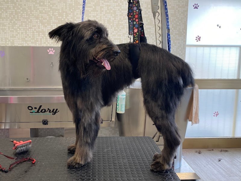 Casa di Rocky - Foto 1