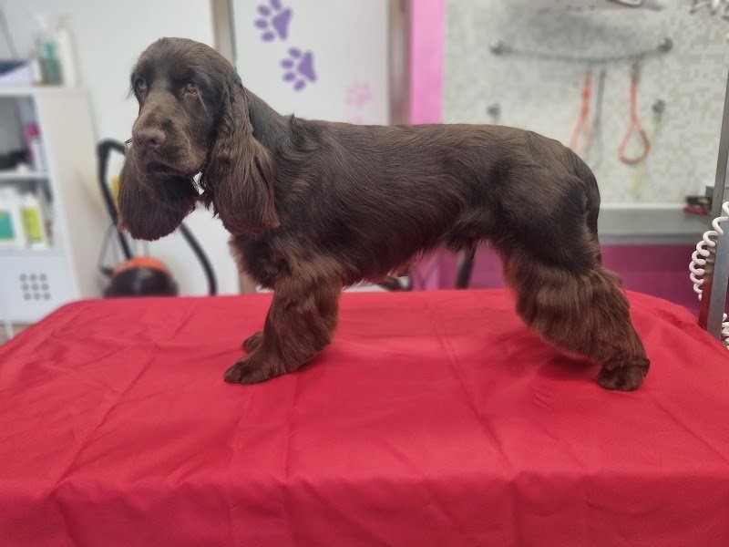 Casa di Rocky - Foto 2