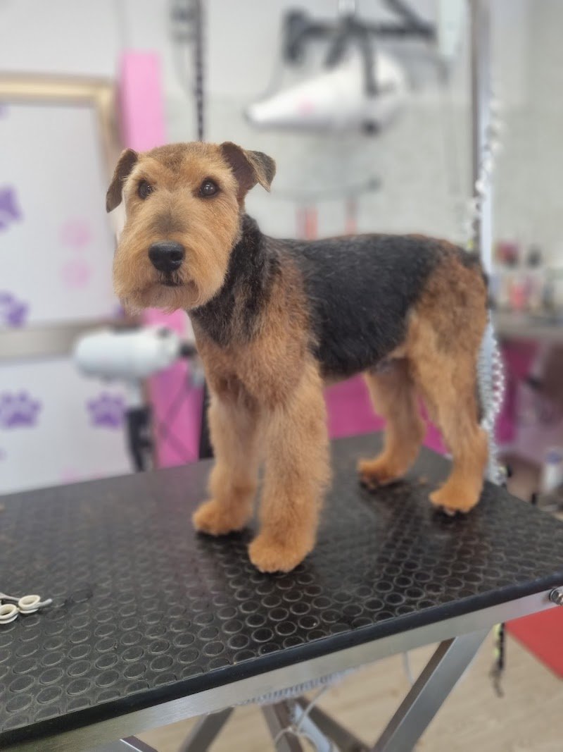 Casa di Rocky - Foto 3