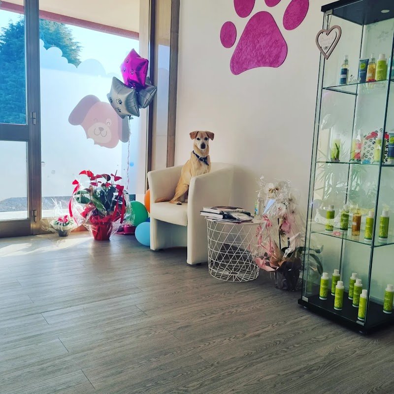 Casa di Rocky - Foto 4