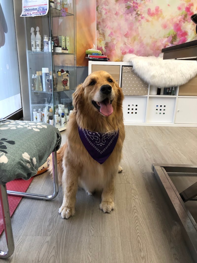 Casa di Rocky - Foto 5