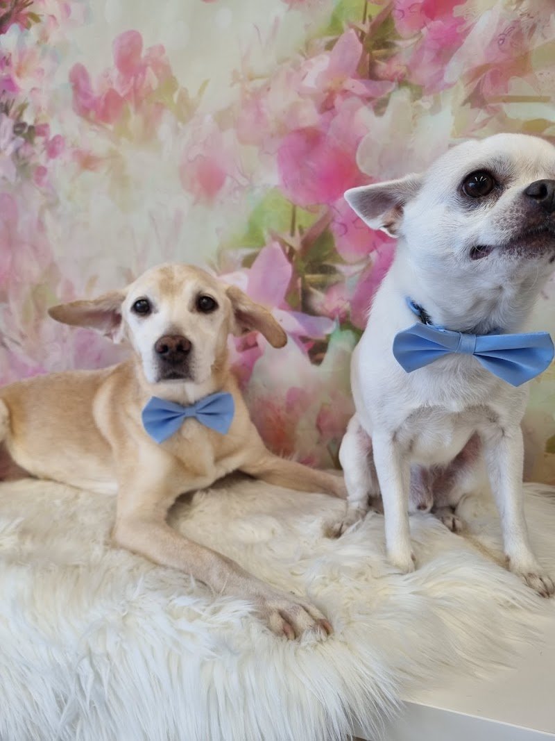 Casa di Rocky - Foto 6