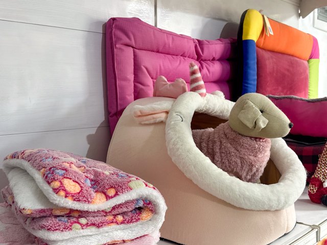 C'èChiDiceBau di Soccorsi G. Toelettatura - Foto 3