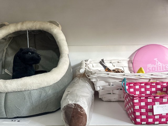 C'èChiDiceBau di Soccorsi G. Toelettatura - Foto 4