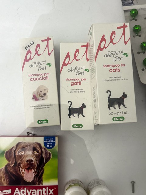 C'èChiDiceBau di Soccorsi G. Toelettatura - Foto 5