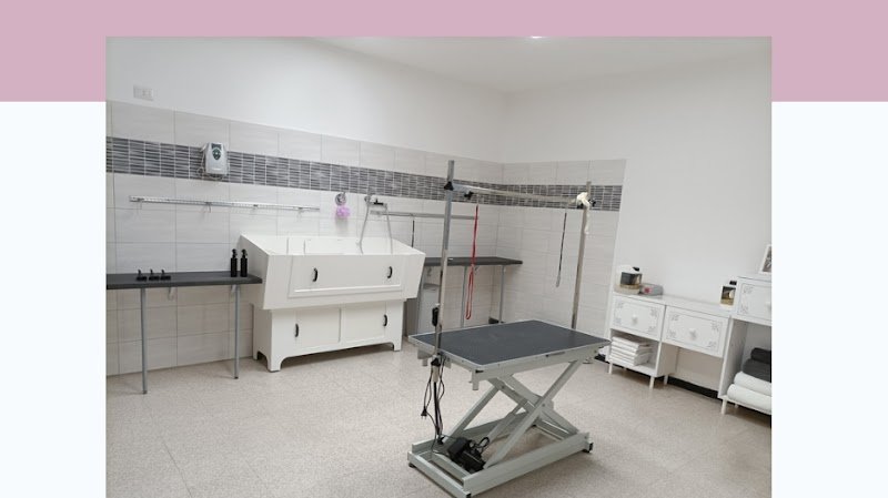 Centro Benessere del Cane - Foto 1