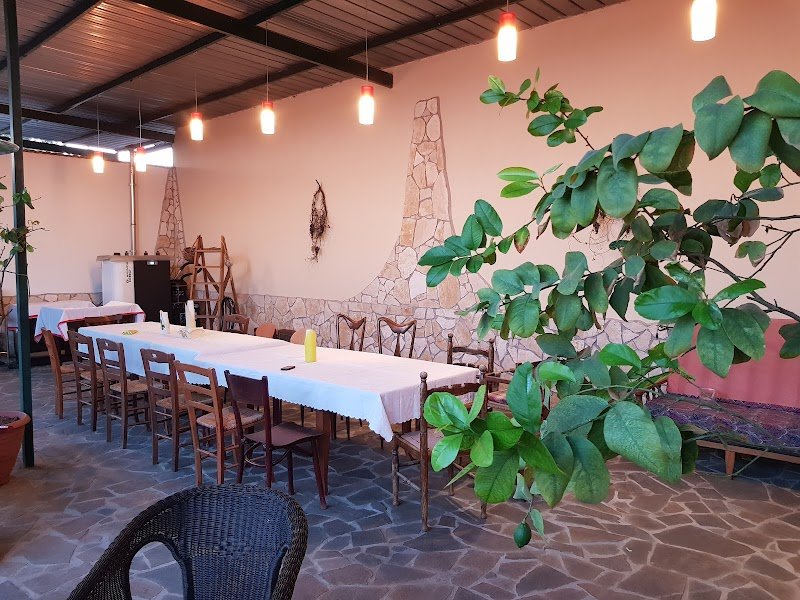 Centro Cinofilo "Amici Miei" - Foto 1