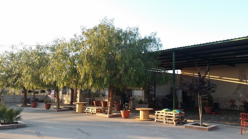 Centro Cinofilo "Amici Miei" - Foto 2