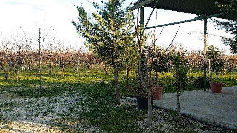 Centro Cinofilo "Amici Miei" - Foto 3