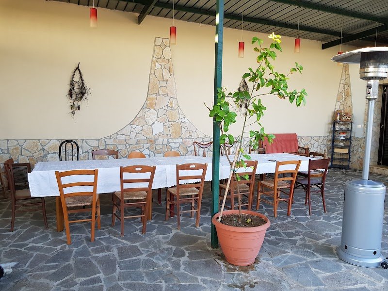 Centro Cinofilo "Amici Miei" - Foto 4