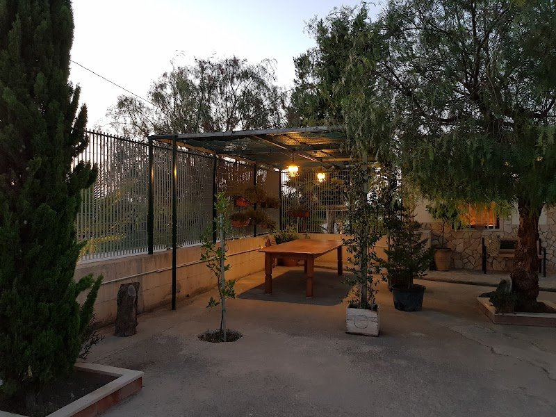 Centro Cinofilo "Amici Miei" - Foto 5