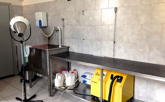 Centro Cinofilo Dog Zone S.R.L. - Foto 3