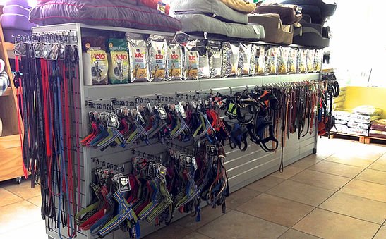 Centro Cinofilo Dog Zone S.R.L. - Foto 4