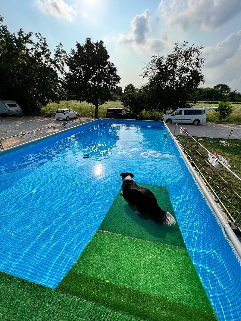 Centro Cinofilo La Scuola di Fido - Foto 6