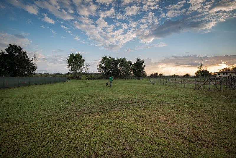 Centro Cinofilo Nascosa - Foto 2