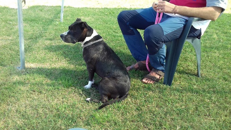 Centro Cinofilo Nascosa - Foto 4