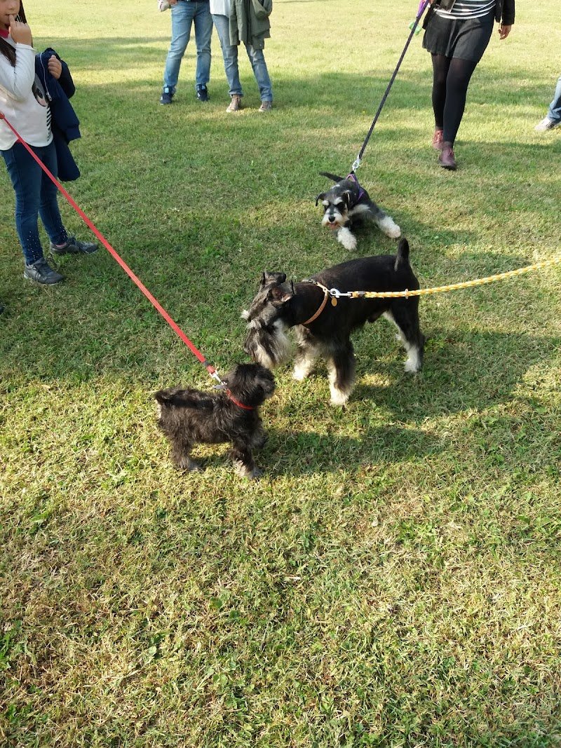 Centro Cinofilo Reggiano Di Fausto Schiatti - Foto 1
