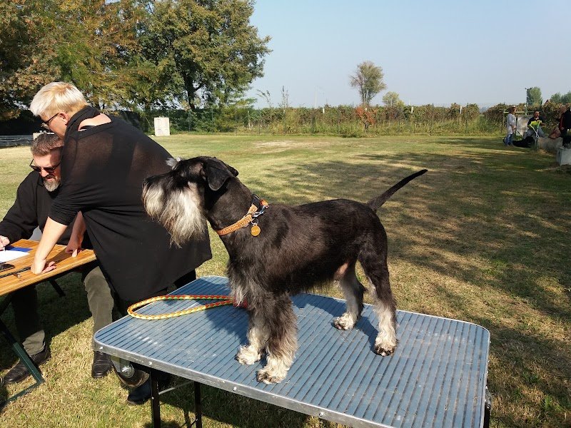 Centro Cinofilo Reggiano Di Fausto Schiatti - Foto 2