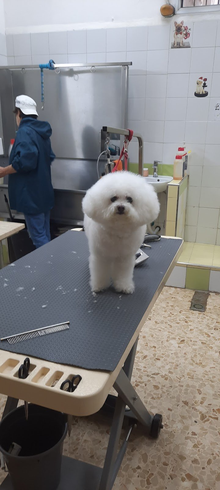 Centro Cinofilo Trentino - Foto 1