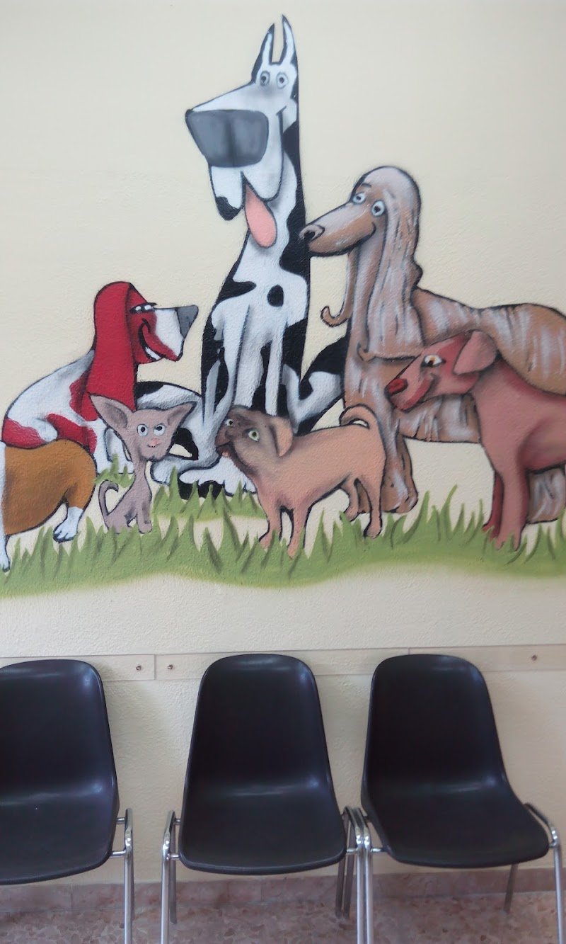 Centro Cinofilo Trentino - Foto 6