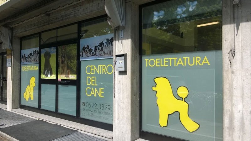 Centro del Cane di Mergola&Montanari Snc - Foto 1