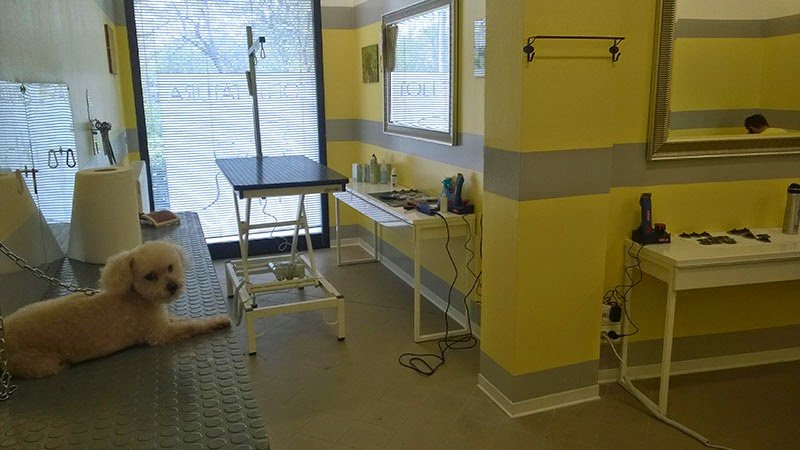 Centro del Cane di Mergola&Montanari Snc - Foto 3