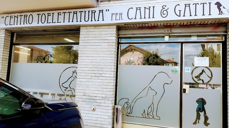 Centro Toelettatura snc - Foto 1